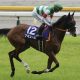 競馬で「設定6」登場にパチスロファン大喜び!?初コンビの騎手は幸運の使者か…珍名馬の「確勝級勝利」に注目集まる