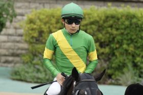 武豊の続投すら脅かした佐々木大輔と快進撃！関西の名トレーナーが「過去最高ペース」で勝ち星を荒稼ぎ