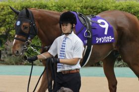 「レベル低下」嘆かれるフェブラリーSに芝から続々と参戦名乗り…芝マイルチャンプの「ダート挑戦」は復活の起爆剤となるか