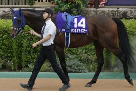 G1馬の「引退ラッシュ」も…種牡馬シュネルマイスターに大きな期待が持てるワケ