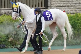ゴールドシップ、ソダシの名伯楽が快進撃！柴田善臣と同期の敏腕トレーナーは秋競馬でも注目の存在