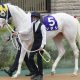 【秋華賞】リバティアイランドとデアリングタクトが一致?歴史が証明する意外な“隠れ穴馬”の激走ネタ。三冠達成でも万馬券、リバティ大敗なら特大万馬券!?