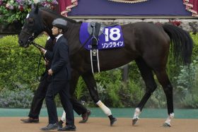 【毎日王冠（G2）展望】同世代「宿命」のマイル王対決ソングラインVSシュネルマイスター再び！マイル王激突の間隙を突くのは遅れてきた大器？