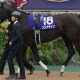 毎日王冠(G2)はソングラインの単勝で勝負するよ!点数を絞って回収率重視、重賞3連勝目指してがんばれー!【UMAJOモモのオイシイ競馬】