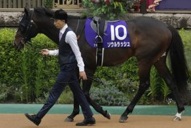 【マイルCS】ソウルラッシュ×J.モレイラ「新コンビ」結成！「G1ウイナーにしたい」松山弘平まさかの乗り替わりも…国内外で期待高まるマジック