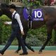 【武蔵野S(G3)展望】ステラヴェローチェ「ダート初参戦」! 横山典弘VS横山武史の親子対決にも注目