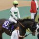 ジャパンCはノーザンファームに逆らうな？武豊×ドウデュース、ルメール×チェルヴィニア、さらに社台グループの意外な隠し玉が出走？