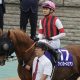 三浦皇成「3.3億円ホース」と運命の出会い!? 「古馬のようなレース」G1・123連敗の終止符へ、世界的良血馬がデビュー戦完勝!