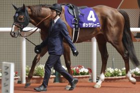 【AJCC（G2）展望】「重賞3勝」ボッケリーニVS「中山巧者」ラーグルフ！逸材バトルボーンも出走なら主役候補