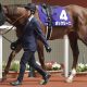 武豊ヤマニンウルス「+46kg」に調教師「体はもっと増える」…デビューから右肩上がりの馬体重に心配の声も、厩舎の信頼と実績に期待