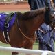 レガレイラか、シックスペンスか…皐月賞(G1)C.ルメールぐらり!? 安藤勝己氏「後ろ髪を引かれる勝ち方」超G1級シックスペンスが受け継いだキタサンブラックらの伝説
