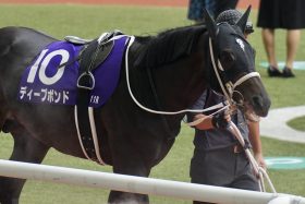 【有馬記念】和田竜二と「コンビ解消」ディープボンドはブービー15着…英国の名手T.マーカンド起用も「アレ」が裏目に？