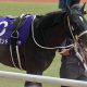 【有馬記念】スターズオンアース、ドウデュースに黄色信号!? 11年連続の王道が大不振…信頼の軸は「5年連続で該当中」のアノ強豪!