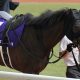 【小倉大賞典(G3)展望】今村聖奈「コンビ相性抜群」アノ逃げ馬と再タッグ!すんなりハナなら人馬ともに「重賞2勝目」も!?