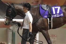 セントライト記念（G2）秋の逆襲に燃える坂井瑠星とドゥラエレーデ！30年ぶりの珍事も経験…打倒ソールオリエンスに2歳王者が挑む