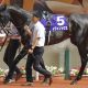 武豊「あとはクジ運だけ…」もガックリ!? 優勝争いは川田将雅、C.ルメール、J.モレイラら4強か【2023WASJ考察】
