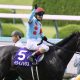 元JRA藤田伸二氏が菊花賞(G1)完全的中!? 「頭まである」ドゥレッツァ&「距離不安」ソールオリエンスをズバリ