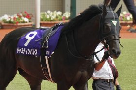 【有馬記念】スターズオンアース、ドウデュースに黄色信号!? 11年連続の王道が大不振…信頼の軸は「5年連続で該当中」のアノ強豪！
