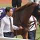 【中山記念(G2)予想】C.ルメール、川田将雅が不在ならチャンス十分、独断と偏見で期待するコンビに大注目!【UMAJOモモのオイシイ競馬】