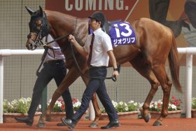 「芝の方が良い」「ダート適性はある」イクイノックス撃破も遠い記憶…悩めるドゥラエレーデ「問題解決」の裏で深まる皐月賞馬ジオグリフの混迷