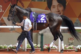 【AJCC】「波乱の使者」なら間違いなくこれ？高齢馬が好走の舞台で「抜群」の存在感…「2回に1回」馬券に絡む中山巧者の反撃に要注意