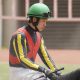 【武蔵野S(G3)展望】ステラヴェローチェ「ダート初参戦」! 横山典弘VS横山武史の親子対決にも注目