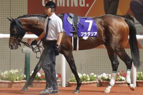 【大阪杯】タスティエーラ、ソールオリエンス、キラーアビリティ、スタニングローズ、ジオグリフ…5頭のG1馬に勝利無し！狙いは最強5歳世代、ディープインパクト産駒の「ラストホープ」