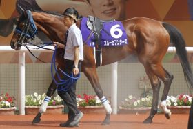 スルーセブンシーズの大健闘に感動！世界に示した日本競馬のプレゼンス【凱旋門賞・現地観戦レポ】
