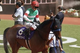 【有馬記念】無視できない「覚醒牝馬」の存在…スターズオンアース、スルーセブンシーズ以外にも一発を期待できる馬に要注目！