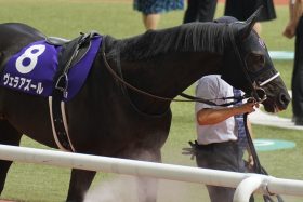 【京都大賞典（G2）展望】反撃へ、ジャパンC覇者ヴェラアズール登場！ 「シルバーコレクター」ディープボンドなど実績馬が淀に集結！