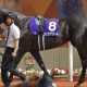 武豊「騎乗不可」でも再登板は叶わず…6馬身差で重賞圧勝の3歳大物「師弟コンビ」復活の日はやってくるか
