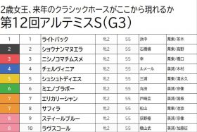 【アルテミスS（G3）予想】厳選4点勝負！ 能力は高いもチェルヴィニアは押さえまで