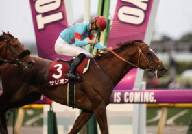 天皇賞・秋の前哨戦に異議あり！ソングライン、シュネルマイスター、ジャスティンカフェら毎日王冠組の裏切りにファン失望か