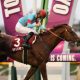 毎日王冠(G2)はソングラインの単勝で勝負するよ!点数を絞って回収率重視、重賞3連勝目指してがんばれー!【UMAJOモモのオイシイ競馬】