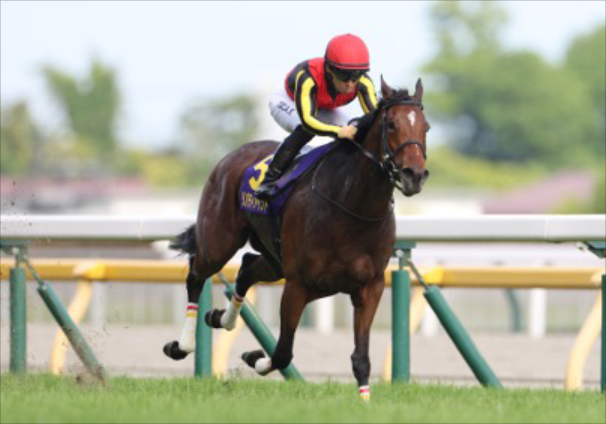 キタサンブラック、ドゥラメンテ、サトノクラウン……躍動する“15年