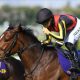 【秋華賞(G1)予想】リバティアイランドには逆らわず。ただし、組み合わせる馬は「一発狙い」の穴馬で
