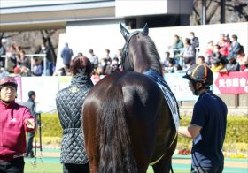 新進気鋭の人気厩舎から“脱落”して転厩…調教もやる気なし「買い要素ゼロ」でも1着固定で9万馬券！ 「人知を超えた予想方法」とは