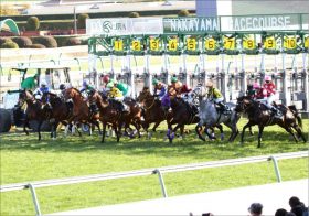 「8枠買う」だけで68万馬券ゲット!? 専門家が進呈した「秘策」で、驚異の5頭オール連対！夏コク最終日は競馬が簡単だった日？