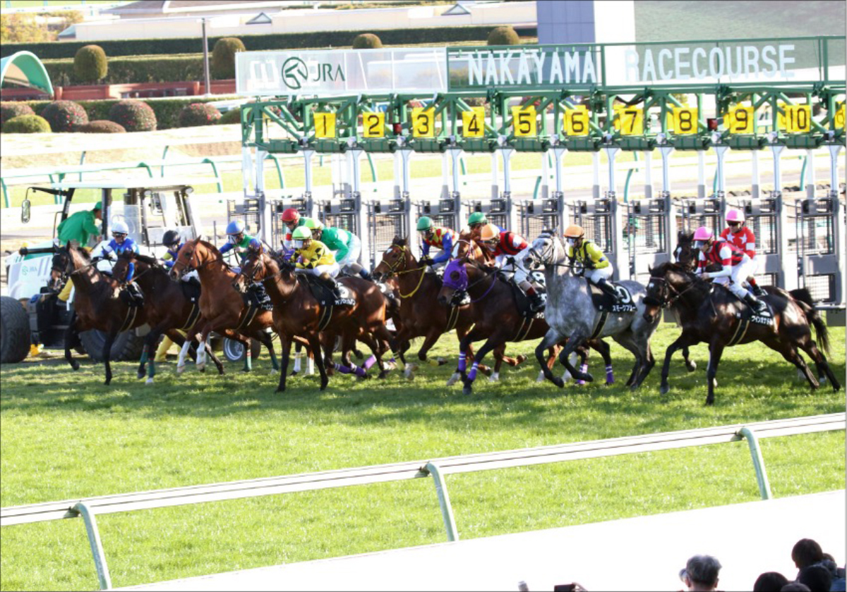 8枠買う」だけで68万馬券ゲット!? 専門家が進呈した「秘策」で、驚異の