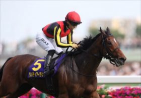 【秋華賞】リバティアイランド×川田将雅騎手の牝馬三冠に暗雲？陣営を悩ます「3つの不安要素」、急浮上した西の秘密兵器とは…