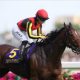【秋華賞(G1)予想】リバティアイランドには逆らわず。ただし、組み合わせる馬は「一発狙い」の穴馬で