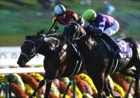 【菊花賞】優勝確率“0％”の衝撃！ダービー馬タスティエーラ陣営が乗り越えるべき高い壁。ソールオリエンス逆転の可能性は？