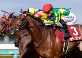 【菊花賞】最大のヒントは前哨戦にあり！負けた横山武史×ソールオリエンス、勝った川田将雅×サトノグランツ、両陣営の本音から見えた打倒タスティエーラへの勝算！