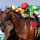 武豊「やりたい競馬はできた」に対照的な見立て? 安藤勝己氏「菊花賞向きやと思うね」の評価も…「めっちゃ嫌なコメント」と評した人物の見解