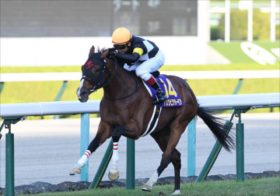 最大の上がり馬、4連勝中のドゥレッツァが菊花賞参戦！「この感じなら…」鞍上ルメールの意味深なコメントに隠された真意、タスティエーラ、ソールオリエンスとの力関係を徹底分析