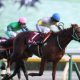 「正直なことを言えば…」川田将雅が明かしたジャパンC(G1)「イクイノックス攻略」のヒント…世紀の対決に向けC.ルメールも警戒