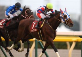 アルゼンチン共和国杯「ゼッフィーロやヒートオンビートを上回る激走穴馬が出走」。波乱必至のハンデ戦を制するマスコミノーマークの実力馬を公開！