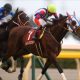 【アルゼンチン共和国杯(G2)予想】人気のゼッフィーロは消し! 格下と見られている人気薄2頭から好配当狙い