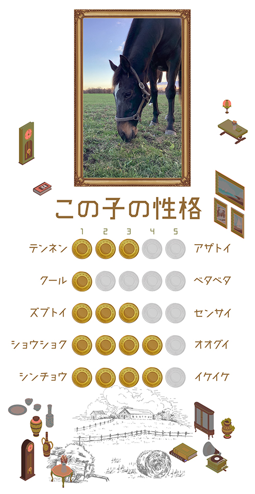 08 マイルチャンピオンSを制し、大輪の花を咲かせた黒き薔薇は、当歳馬が大好きな愛情たっぷりのリードホースに！｜ブルーメンブラットの画像4