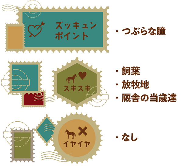08 マイルチャンピオンSを制し、大輪の花を咲かせた黒き薔薇は、当歳馬が大好きな愛情たっぷりのリードホースに！｜ブルーメンブラットの画像5